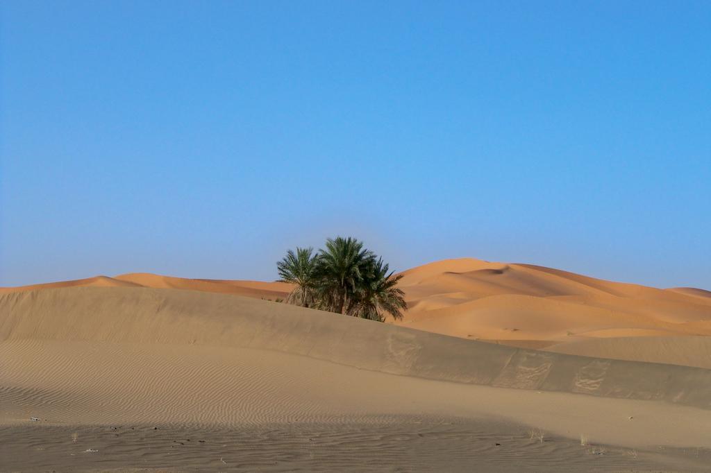 Kasbah Tamariste Bed & Breakfast Merzouga Exterior photo
